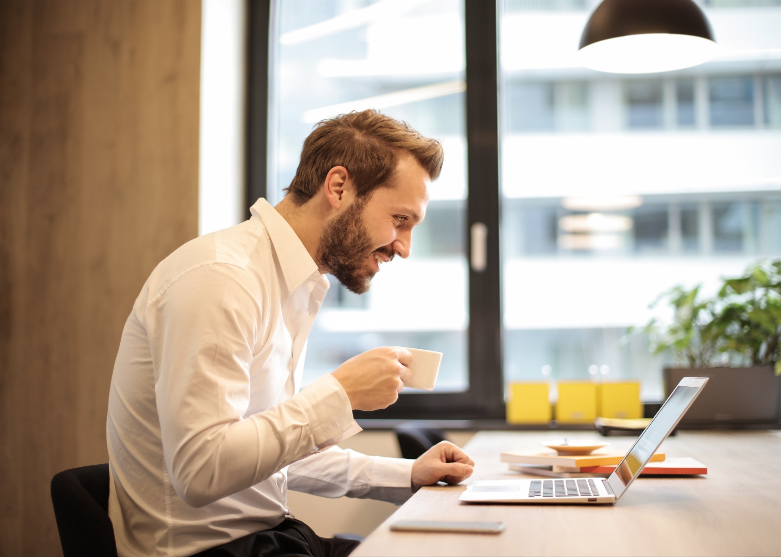 Real Estate Agent NSW CareerOne Career Advice