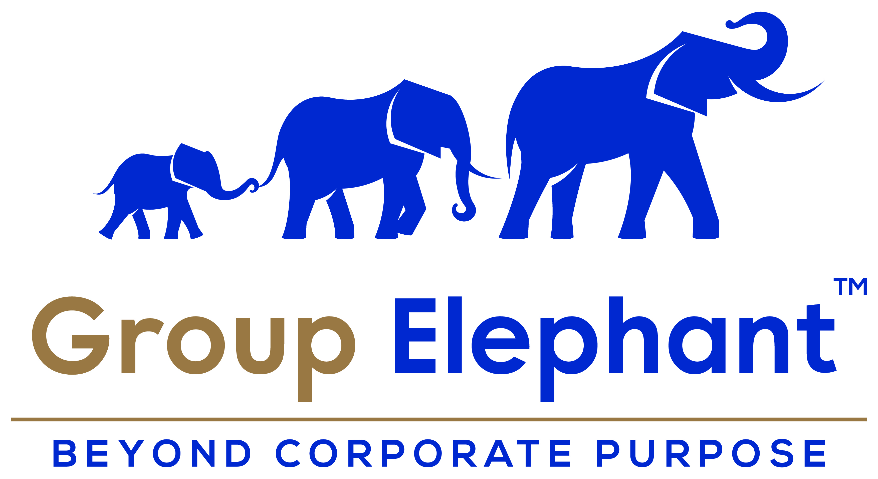 Group Elephant Australia Pty Ltd