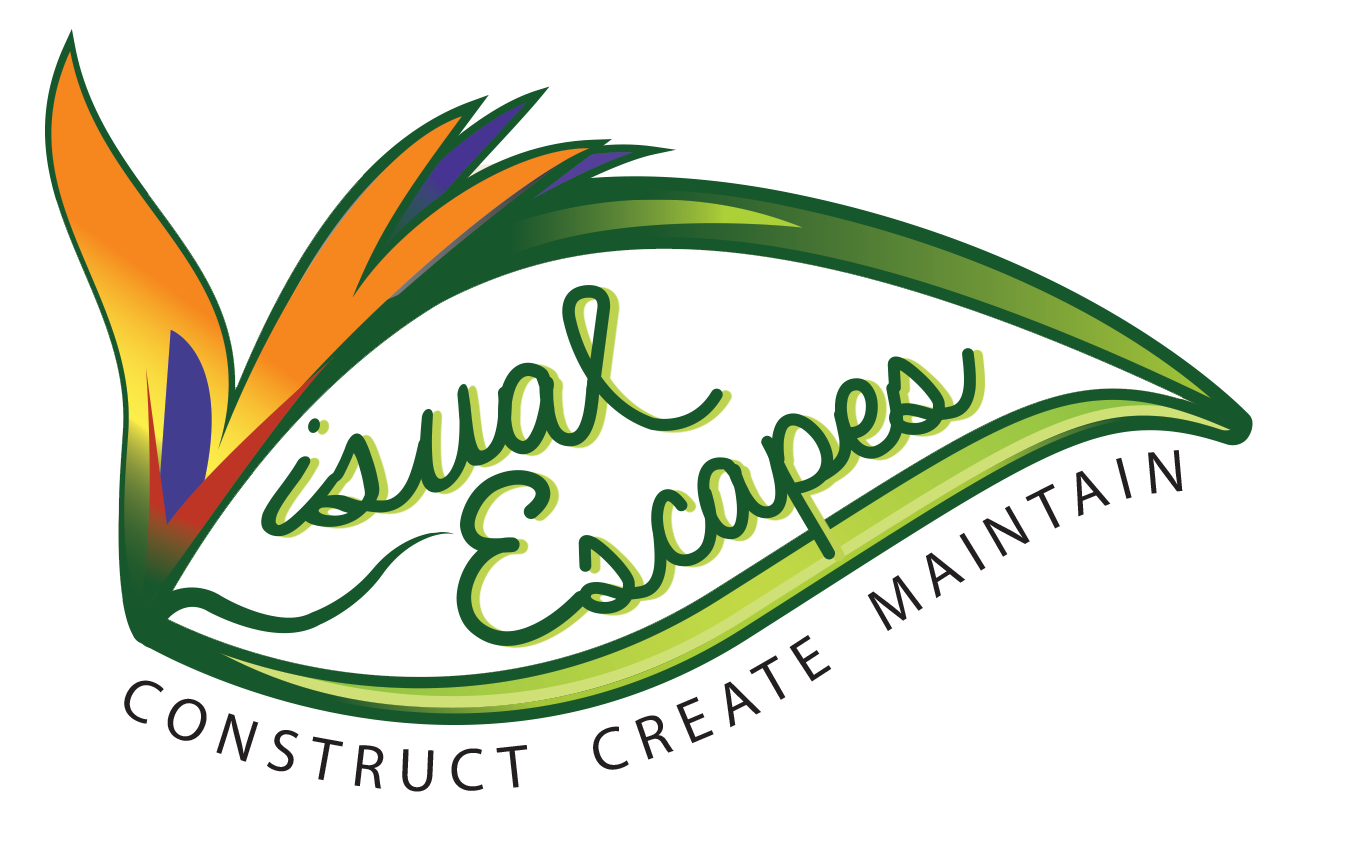 Visual Escaspes